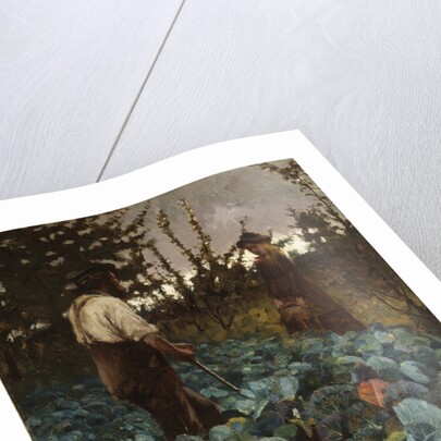 A Cabbage Garden by Arthur Melville